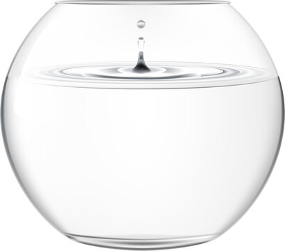 Mega Vases Bubble Fish Bowl Vase 6 Inch x 5 Inch, Decorative Clear Glass with Sturdy Base