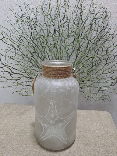 Ocean Mason jars (WHITE)